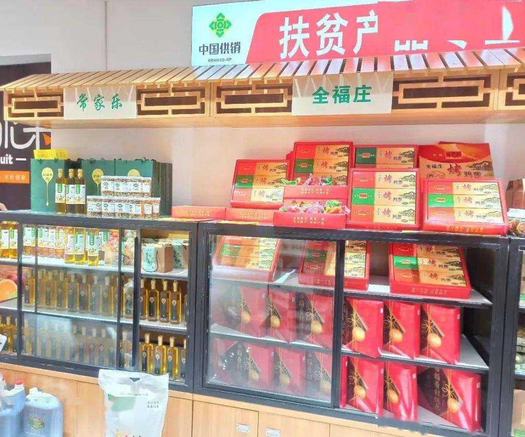 奋进新征程建功新时代持续深化供销社综合改革全面助力乡村振兴