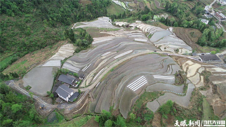 高质量发展蹲点采访正安县中观镇旱改水补齐农田稀缺短板
