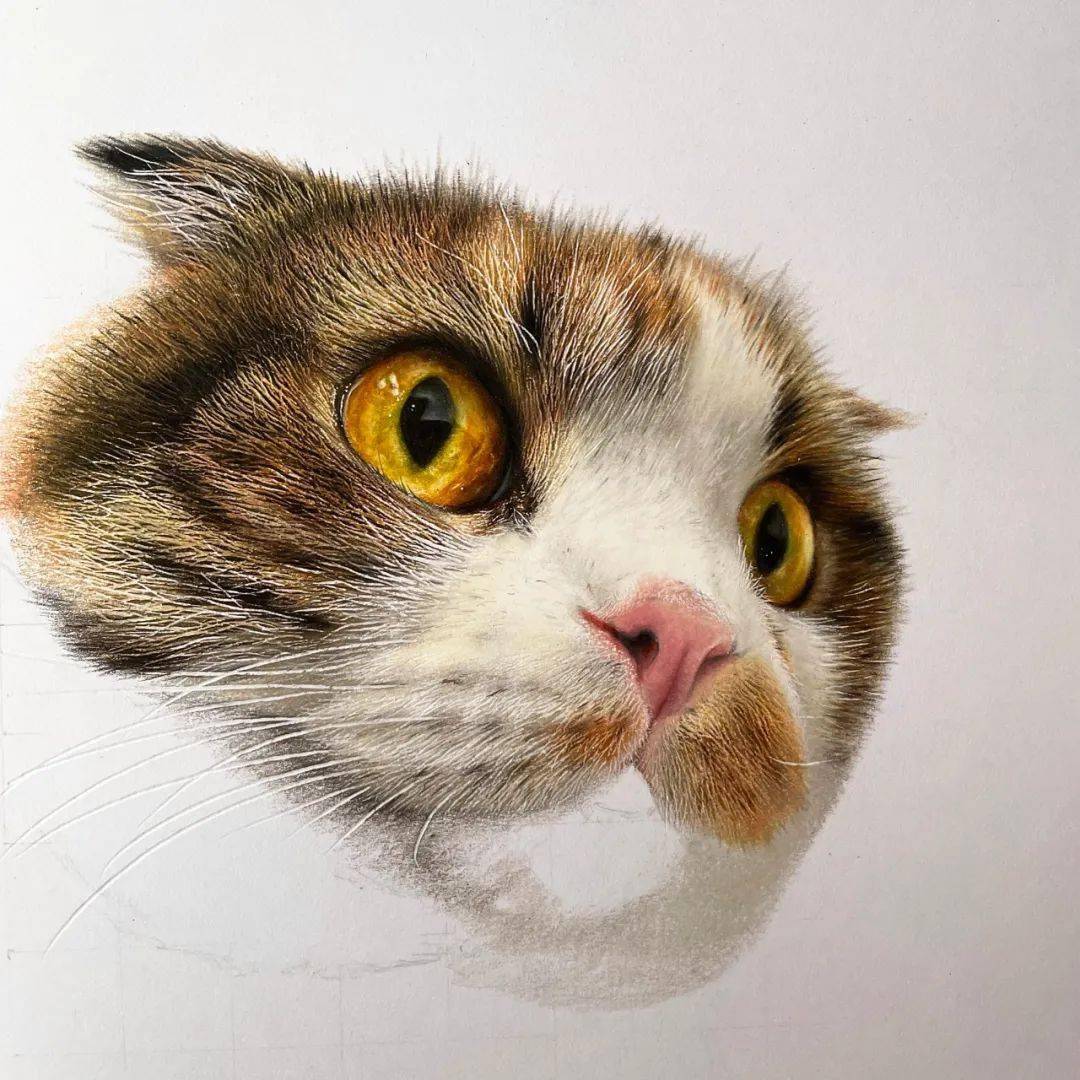 彩铅工藤阳辉00后男孩3岁右眼失明却自学成才画出超逼真的彩铅作品