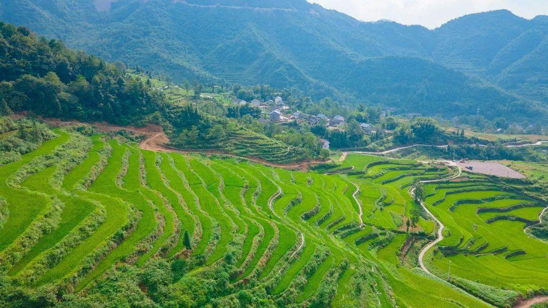 巴渝风丨到秀山,品"盖上"风光情韵_独立师_王光泽_段苏权