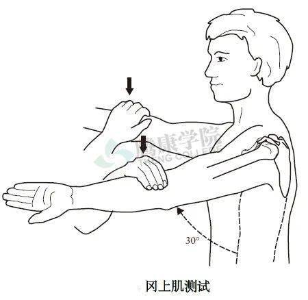 肱二头肌抗阻力试验图片