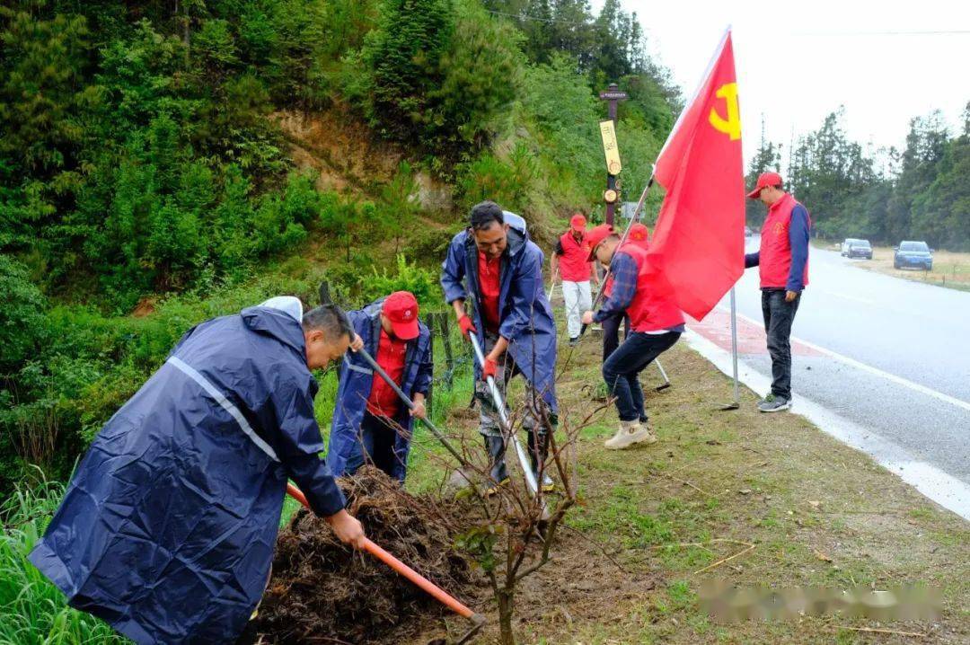 【交通快讯】龙陵打响路域环境整治“大会战”