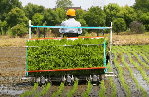 久保田|spv-6ad高速插秧机