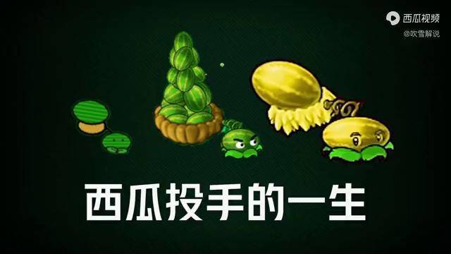 植物大战僵尸:西瓜投手的一生,年少失去朋友,老年变金西瓜!