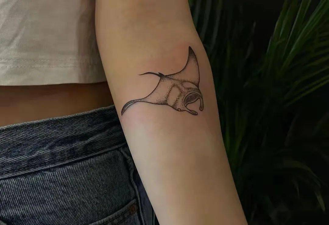 属于软骨鱼纲,蝠鲼科,它包含两个属,又被称为魔鬼鱼与毯魟.