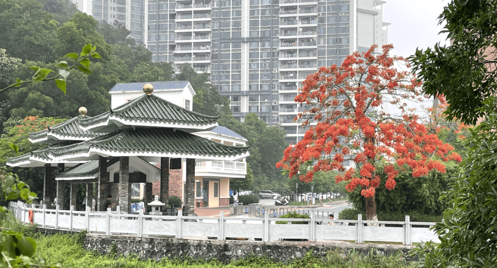 公園_濱江大道_河岸