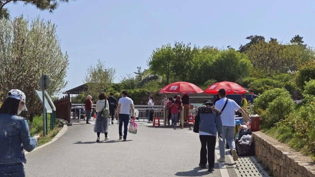 疫情之下的旅游他说爱咋咋地