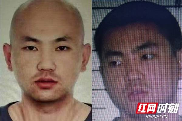 逃亡10天，拦车问路被群众举报，外省逃窜至湖南的命案嫌犯赵某龙在洪江落网_怀化_进行_塘湾镇