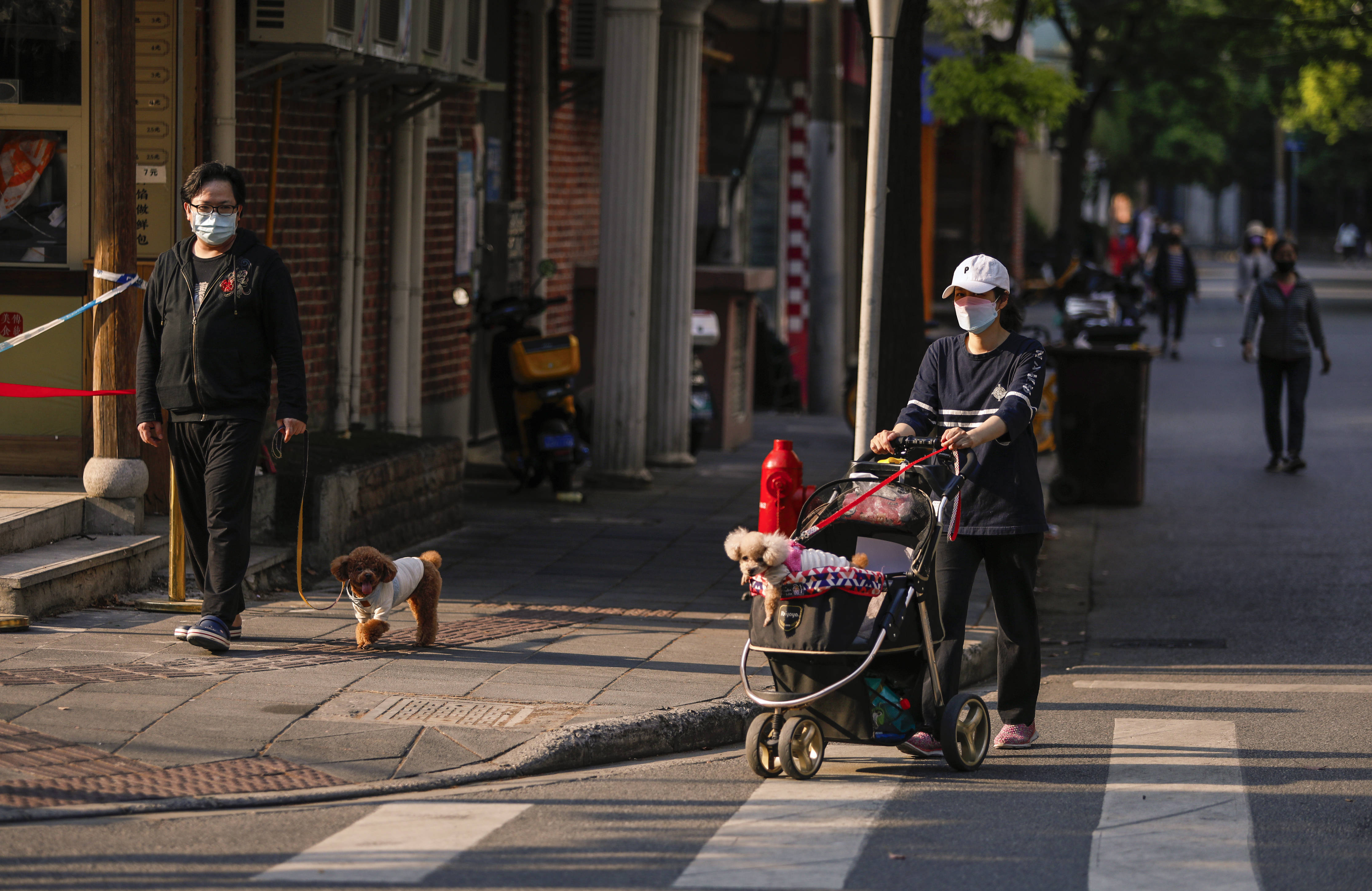 “侬好呀！”上海防范区居民漫步新华路，惊喜47天后的重逢