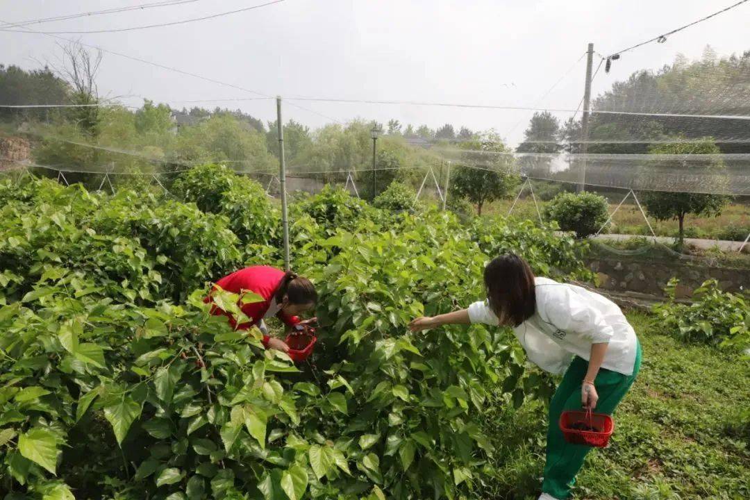 玉山“采摘游”助推乡村振兴