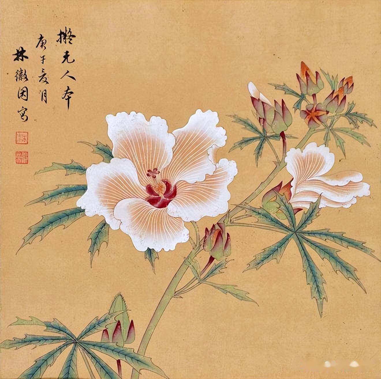 才女林徽因的书法字如其人书香馥郁