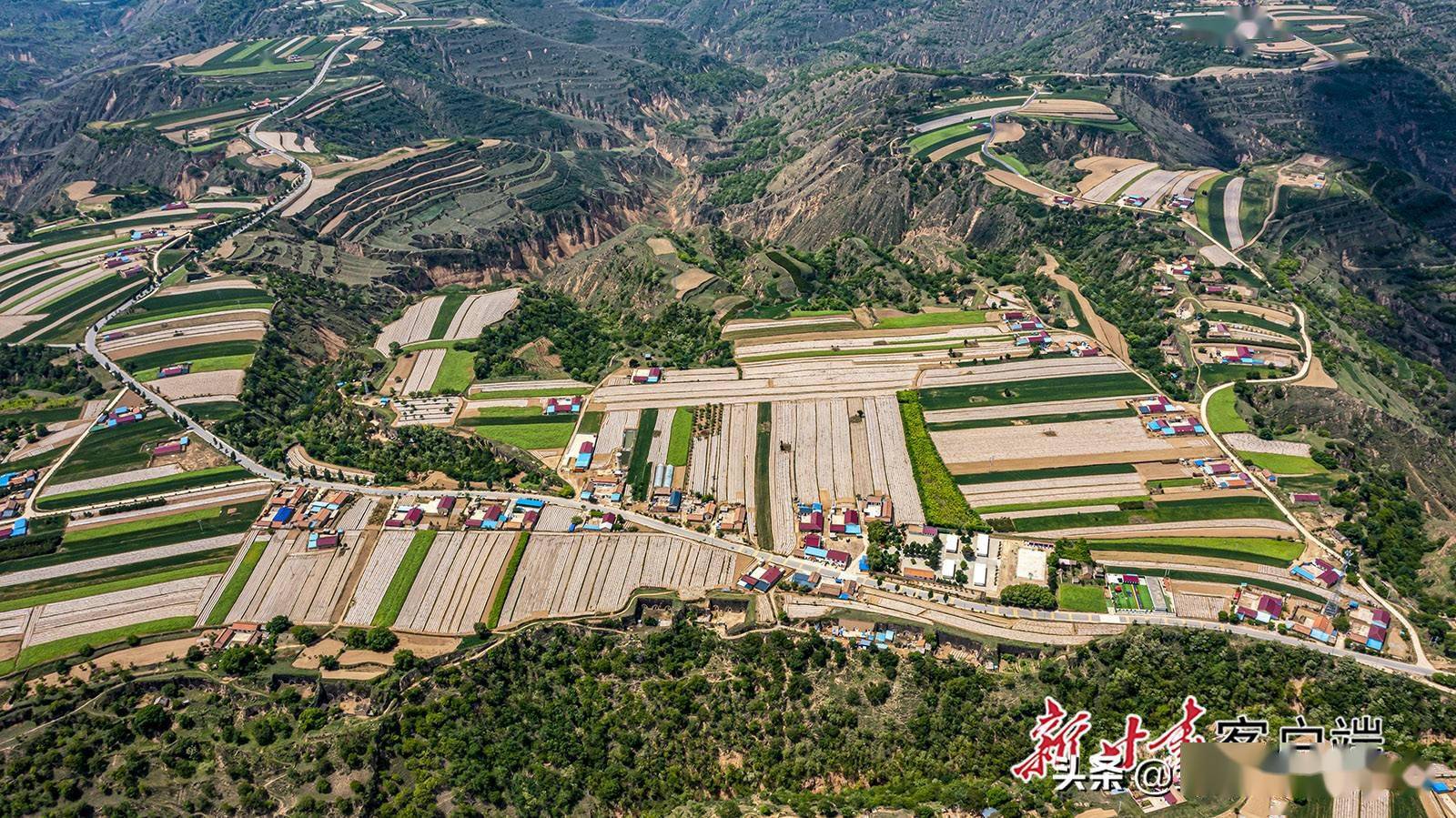 华池县打造生态宜居新农村_乡村_王咀子乡_黄蔚林