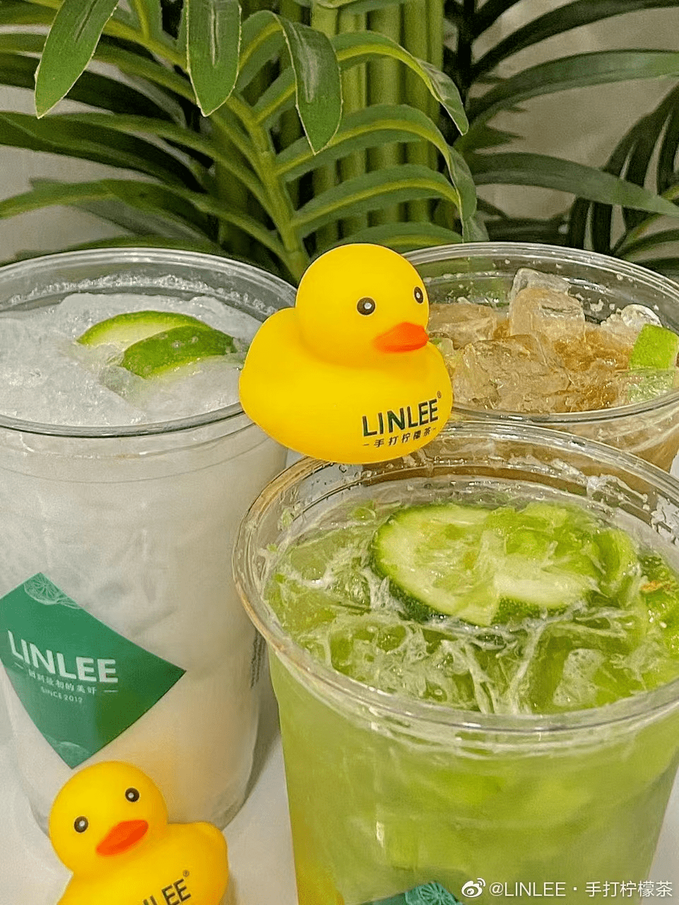 01| linlee 送小黄鸭今天明仔就和大家盘点一下,各大茶饮品牌为了争奇