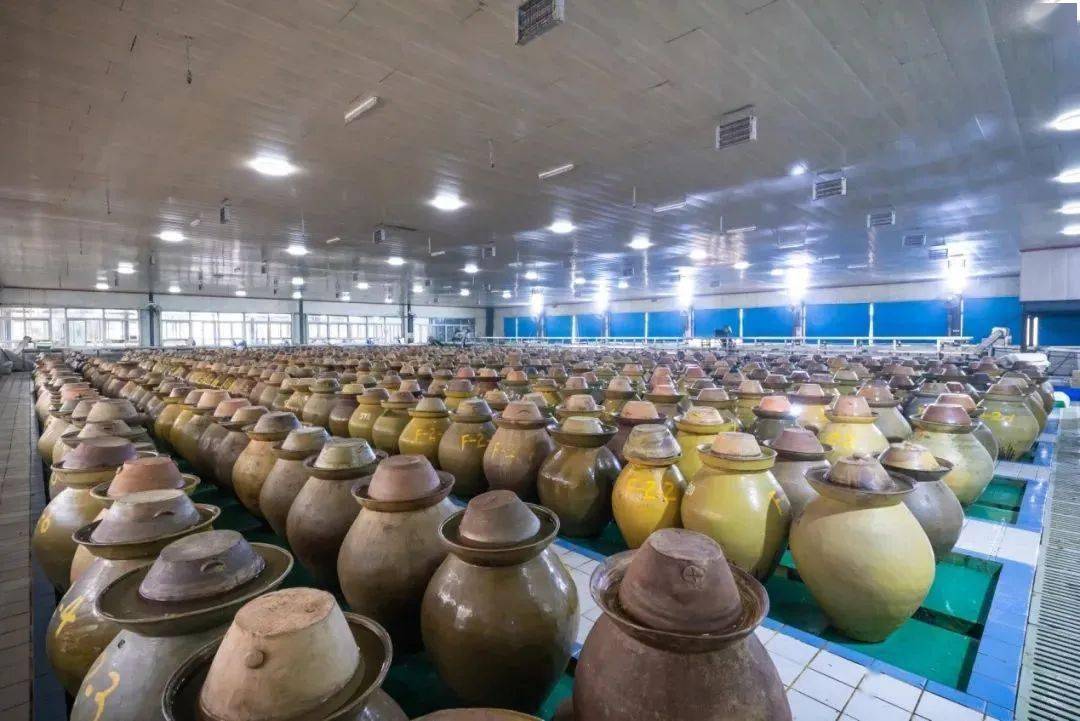 520桂二老坛酸菜鱼5.2折!人均20 !忍不到_味道_桂二喊_活动