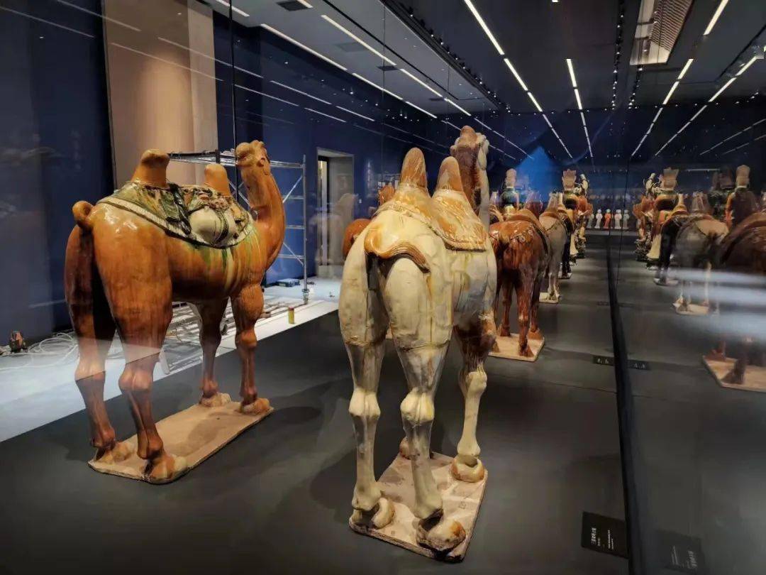 陕西唐三彩艺术博物馆常设展览以"皇家御苑 盛世长歌"为主题,是对兴庆
