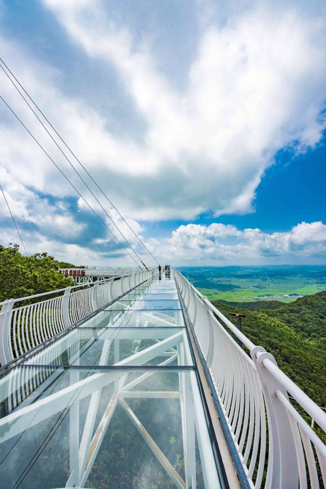 中国旅游日 | 一起感受长春的大美盛夏