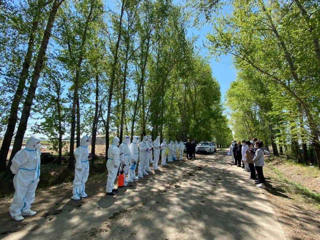 【疫情防控】莲江口镇开展疫情防控全要素全流程综合应急演练_进行