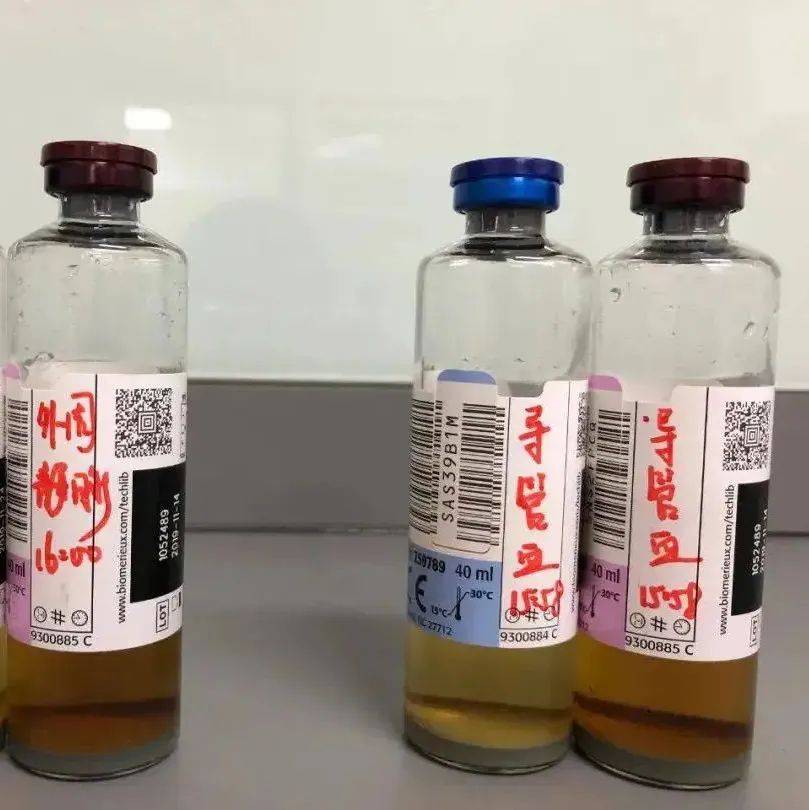 如何正确采集血培养?2022年专家共识新鲜出炉_污染_进行_微生物学
