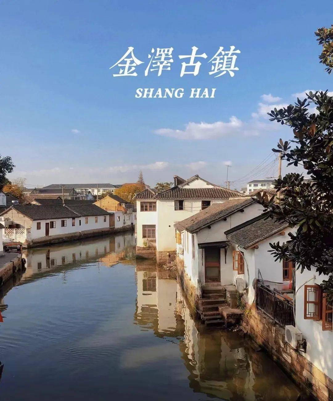 云游金泽|水乡泽国桥庙之乡_古镇_古桥_历史