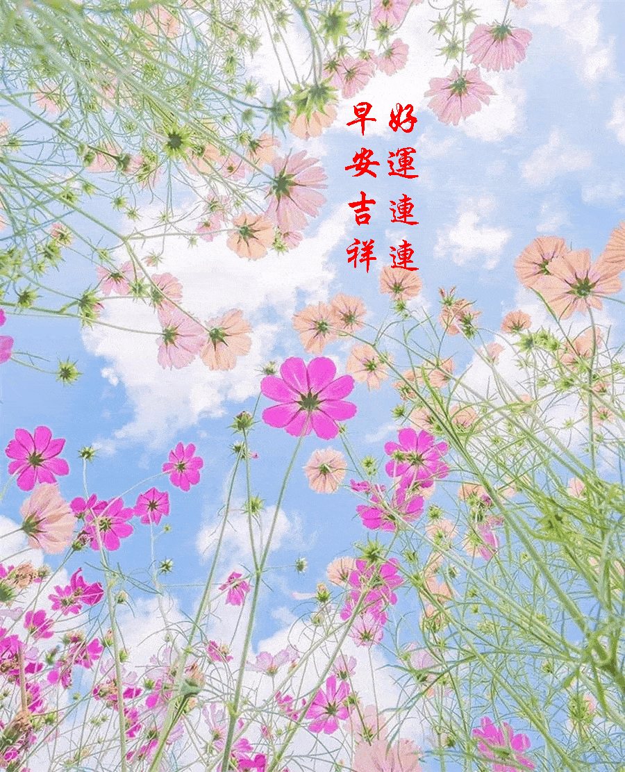 【早安馨语】新的一天,祝朋友们生活愉快!心情舒畅!身体健康!