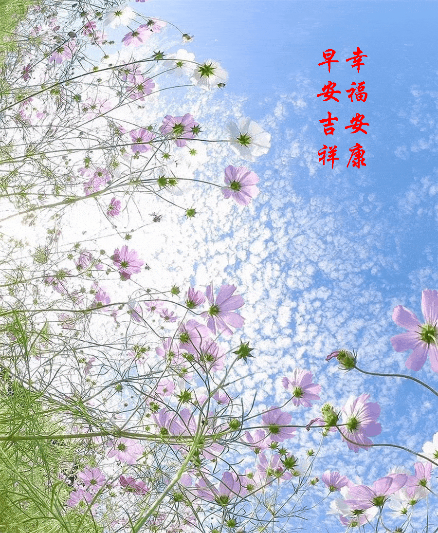 【早安馨语】新的一天,祝朋友们生活愉快!心情舒畅!身体健康!