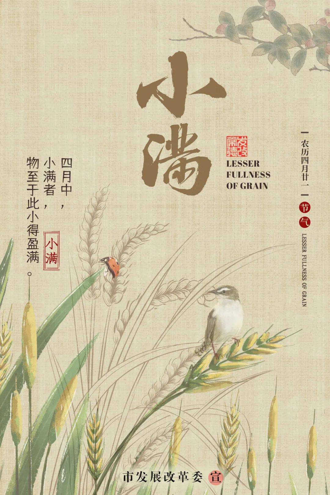 二十四节气小满人生知足小得盈满