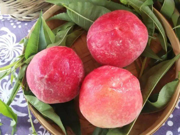 巴南桃子甜蜜来袭 让你 桃 醉在初夏 蜜桃 梦里 桃香