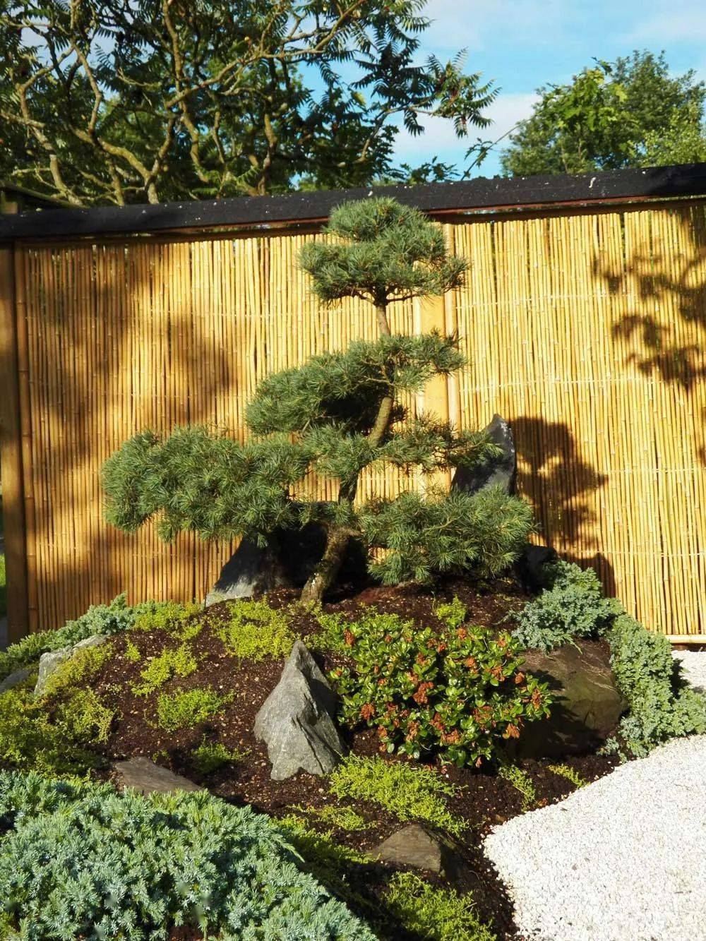 日式园林设计,这才是"岁月静好"!