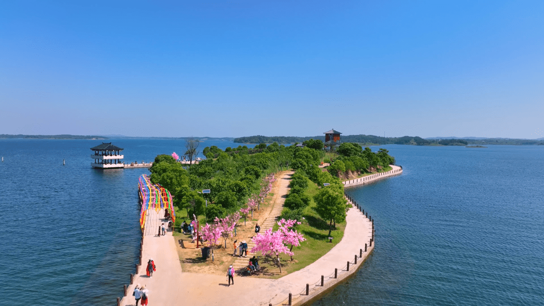 湖北广水市携手景域驴妈妈集团即将打造的"月光海"藏不住了_旅游_随州