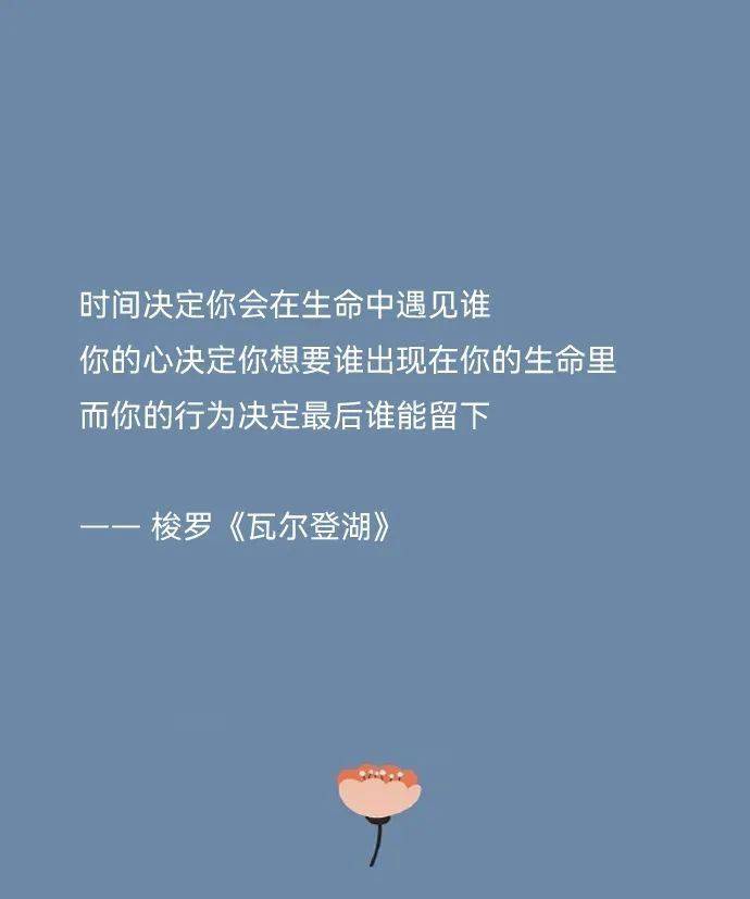 每天读一句经典书摘