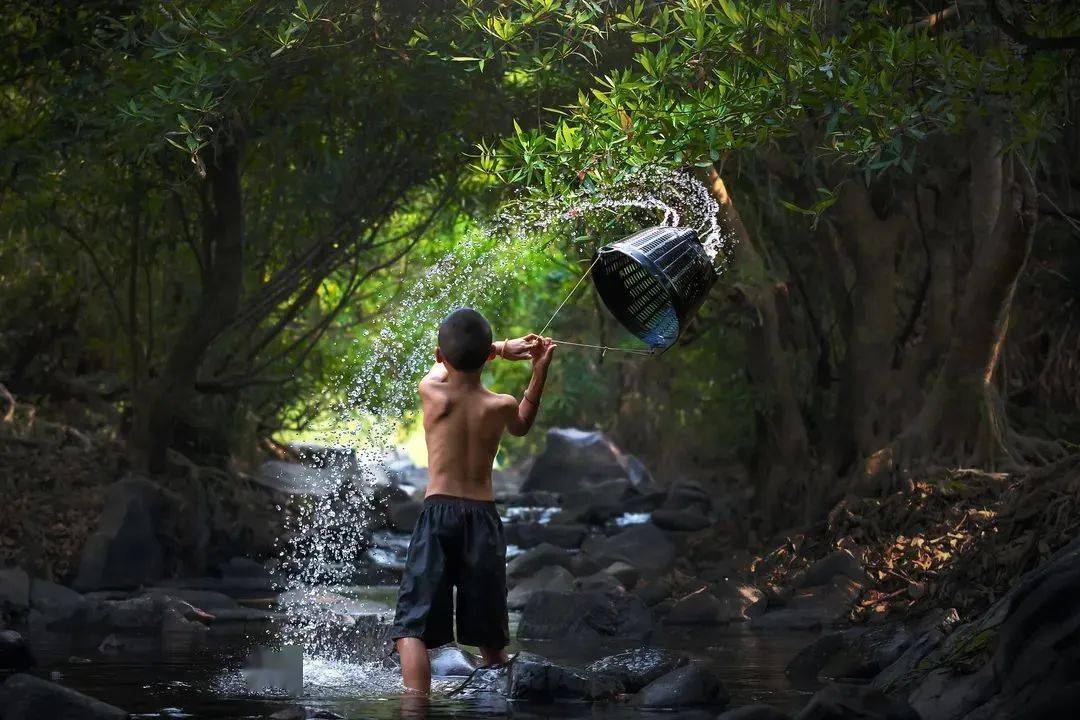 书香政协二十四节气之小满