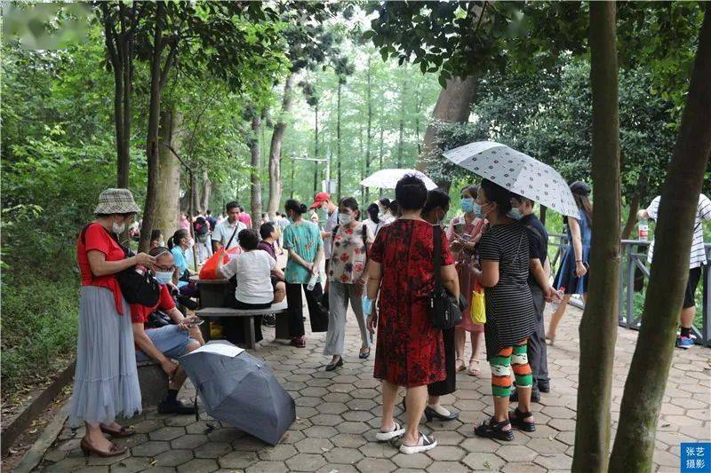 广州天河公园相亲角现场跟赶集一样场面火爆明码标价难觅爱情