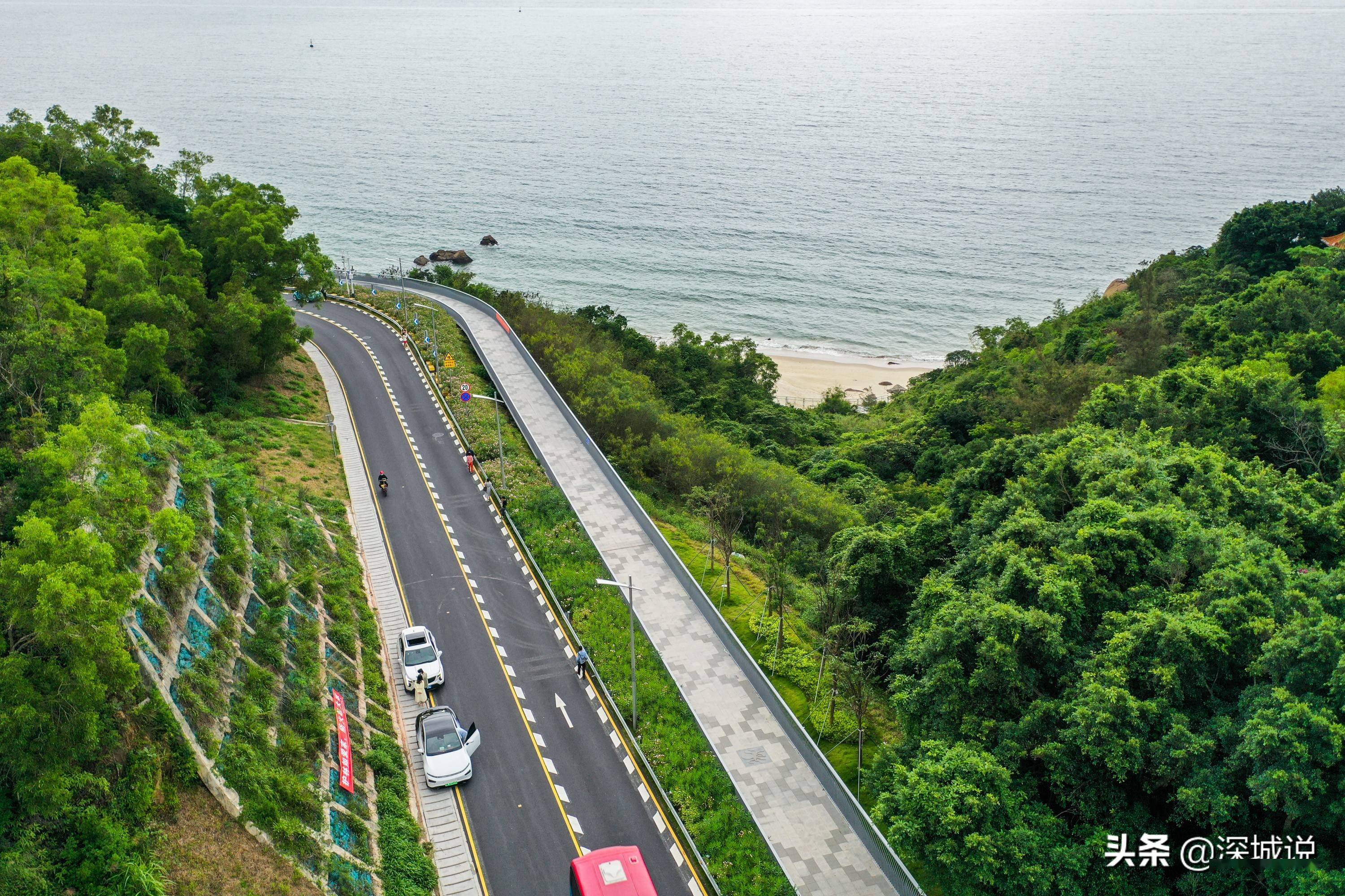 深圳这条沿海公路也太美了吧