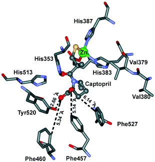 杰克说药丨蛋白酶抑制剂系列文章之治疗高血压的ace抑制剂