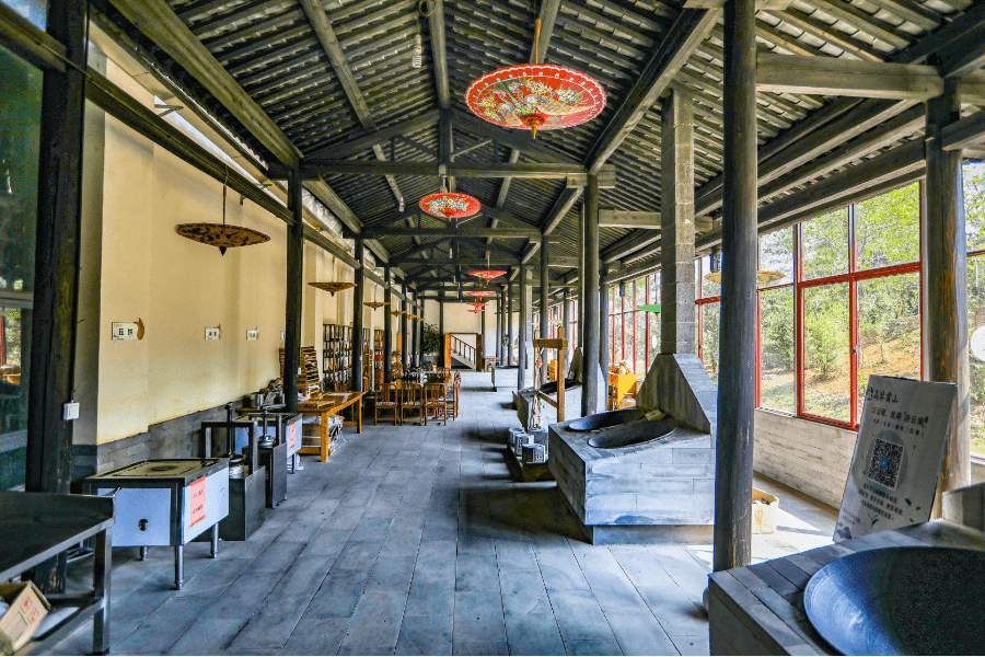 【普惠服务合作单位】高黎贡山茶博园_茶林_养生_茶文化