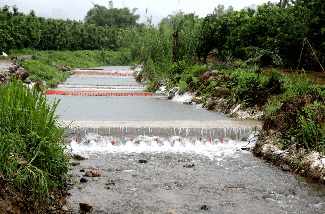 生态环境保护南胜镇锚定治水目标系统全面发力