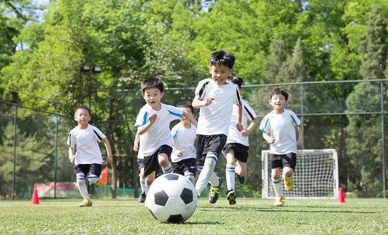 小学五六年级体育教案_小学六年级体育全年级全册教案_小学二年级体育教案下载