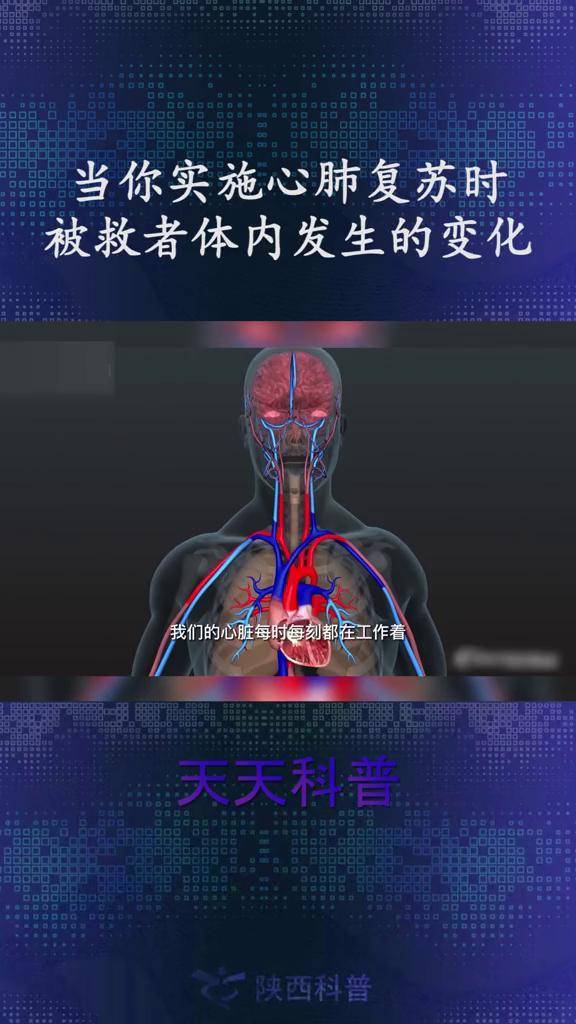 3d动画演示当你实施心肺复苏时被救者体内发生的变化心脏复苏生命科普