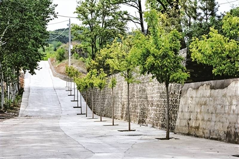 义井镇王家峪村：打造一路风景“串联”别样乡村游