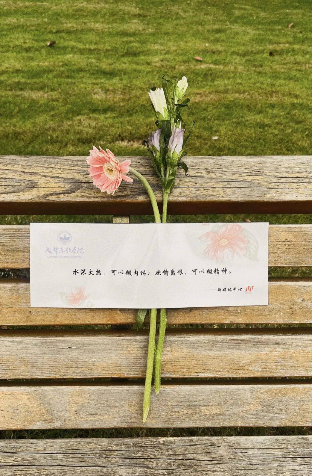 525送你一枝花一句话好好爱自己