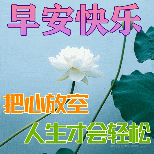 5月25日最新早上好祝福动态表情图片大全早上好问候语句子