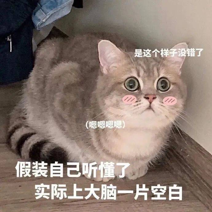 别再用“Do you understand”表示“你明白了吗”,老外会觉得你很不礼貌!_myself_意思_it