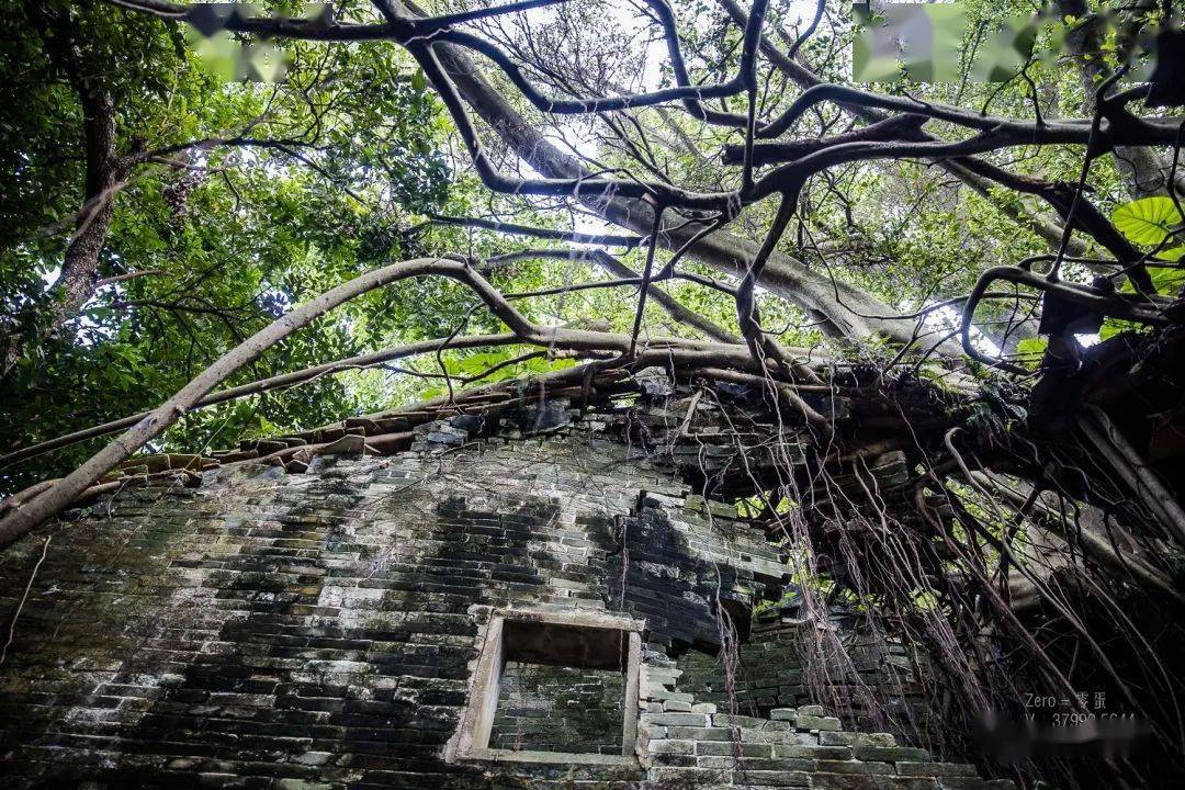 广东,开平,无人村_邓边村_村庄_曾是甄