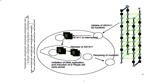 七秩华章续新篇 | 化学与环境科学学院科研工作在多个领域取得重要