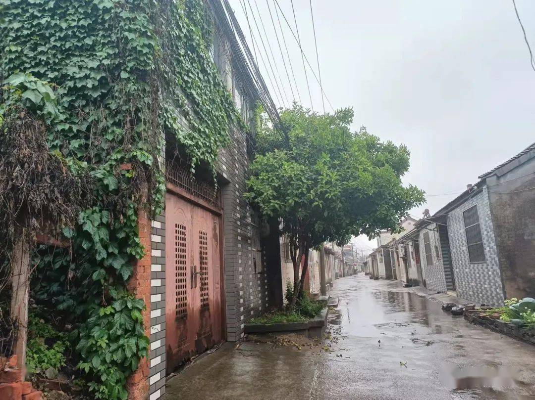 扬州西门第一集——仪征新集