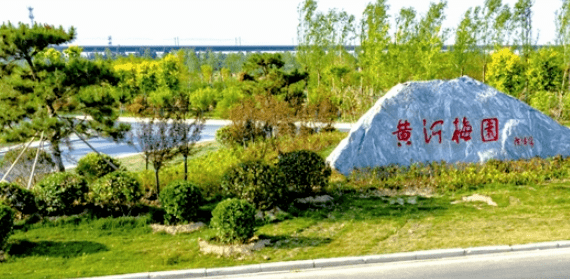 灵宝市豫灵镇境内新建的黄河入豫第一观景台——"金鸡岭"▲灵宝市境内