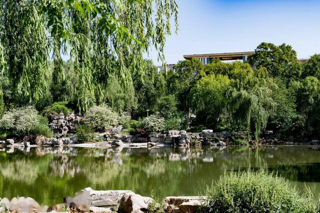 山东青年政治学院2022年普通高等教育招生章程