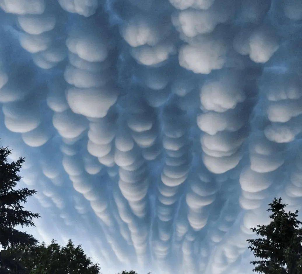 夏天天空中的每朵云都有它的名字