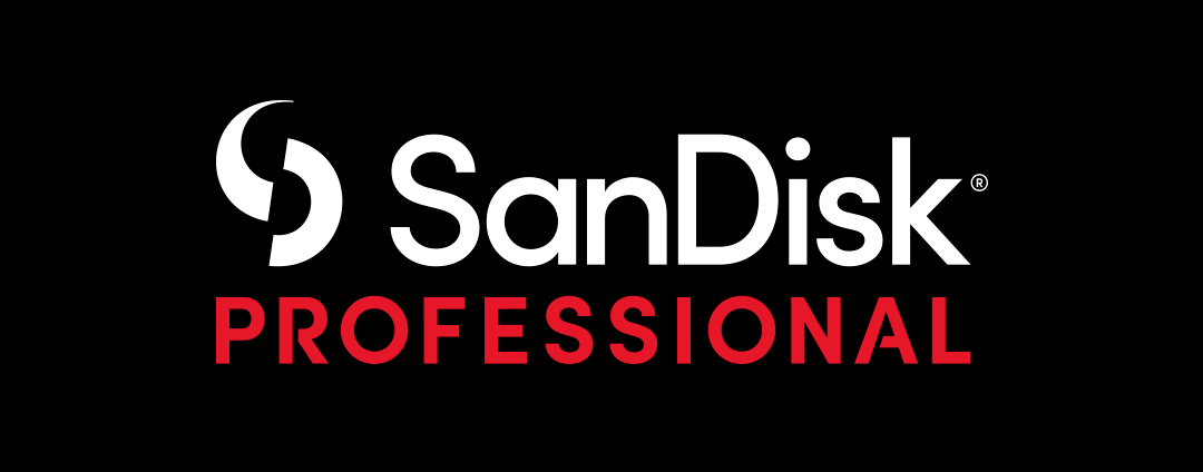 sandisklogo图片