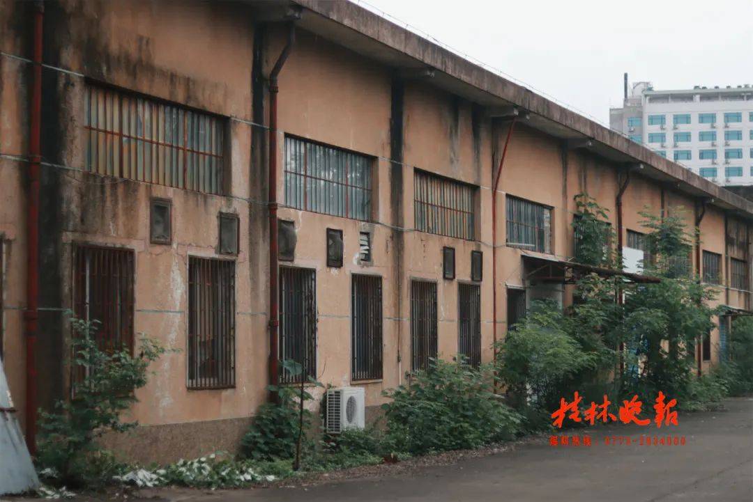 老厂纪丨储存在罐头里的桂林记忆_黄德林_生产线_桔子